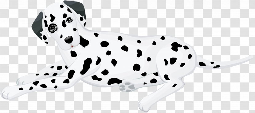 Dalmatian Dog Puppy English Cocker Spaniel Dachshund Labrador Retriever - Carnivoran Transparent PNG