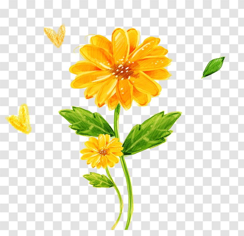 Icon - Annual Plant - Sunflower Transparent PNG