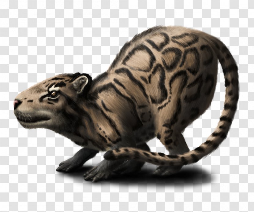 Capybara Clouded Leopard Snout Big Cat - Imgur Transparent PNG