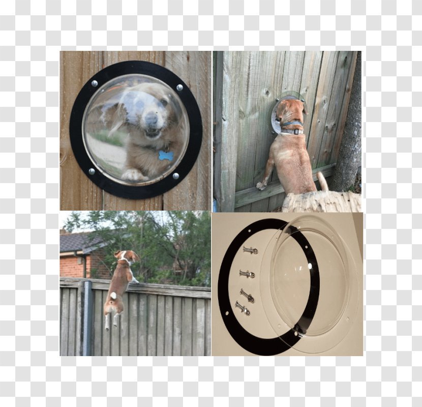 Dog Pet Fence Cat Window - Electric Transparent PNG