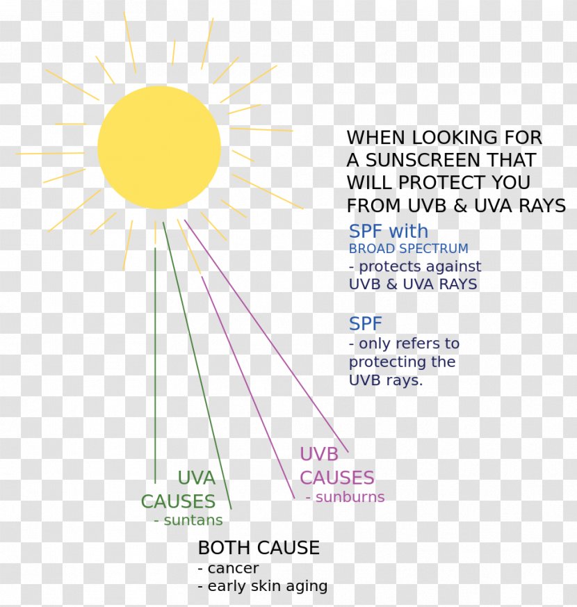 Sunlight Sunscreen Ray Diagram - Happiness - Sun Rays Transparent PNG