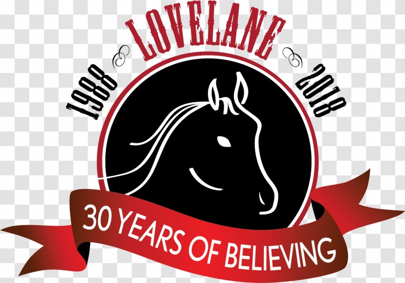 Lovelane Special Needs Horseback Riding Program Equestrian Equine Therapy Child - Area - 30 Anniversary Transparent PNG