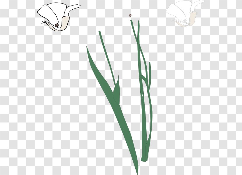 Plant Stem Flower Free Content Clip Art - Template Transparent PNG