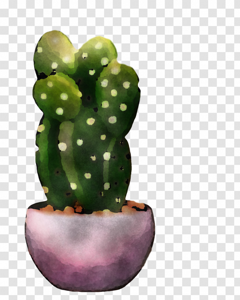 Cactus Transparent PNG