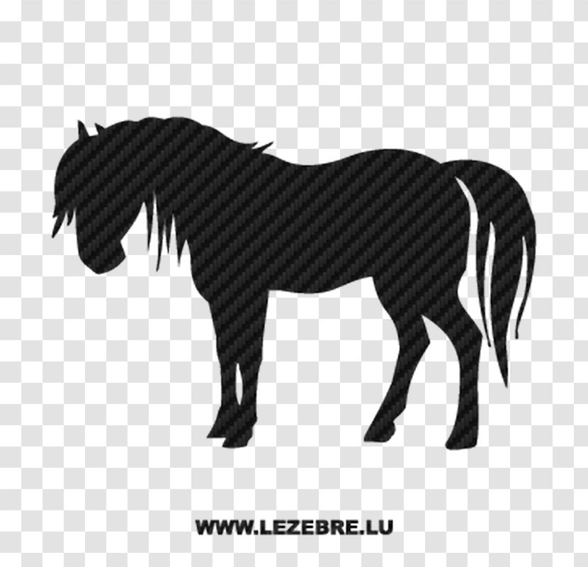 Pony Vector Graphics Arabian Horse Equestrian Horses & Ponies - Like Mammal - Western Transparent PNG