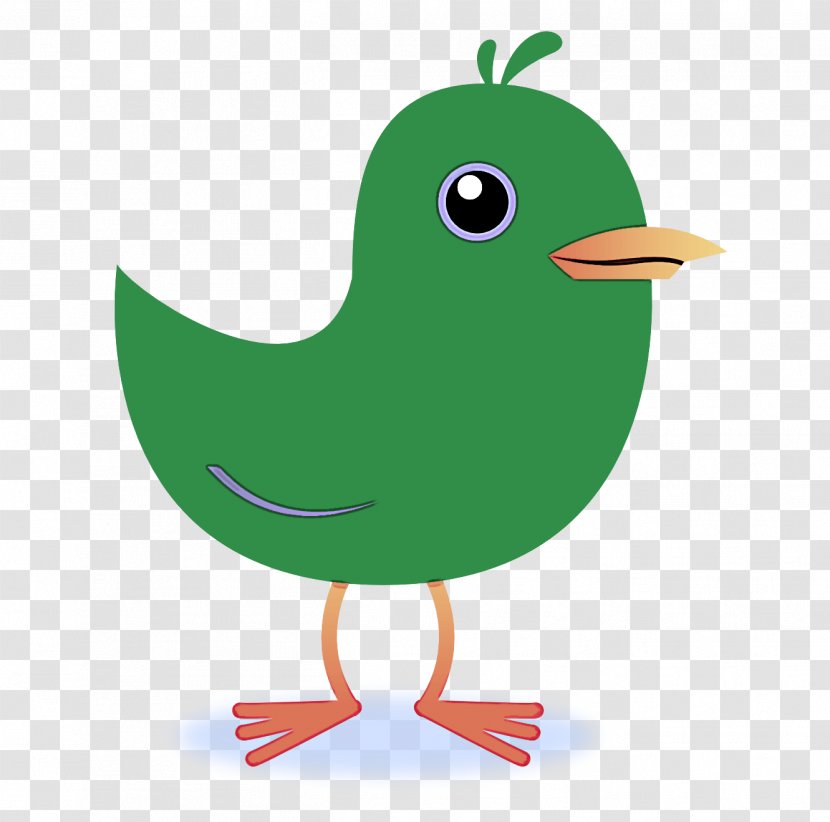 Bird Beak Green Cartoon Clip Art - Perching Transparent PNG