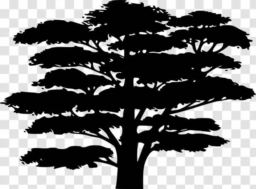 Silhouette Tree Drawing - Black And White Transparent PNG