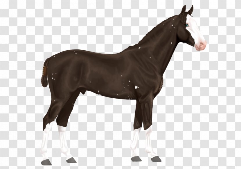 Clydesdale Horse Arabian Thoroughbred Stallion Shire - Animal Figure - Waldo Transparent PNG