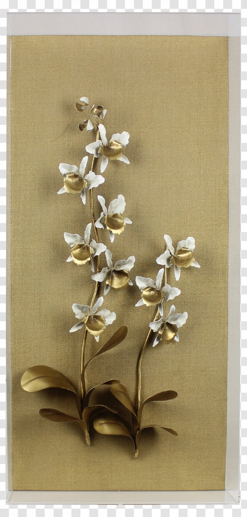 Still Life Photography - Linen Flower Transparent PNG