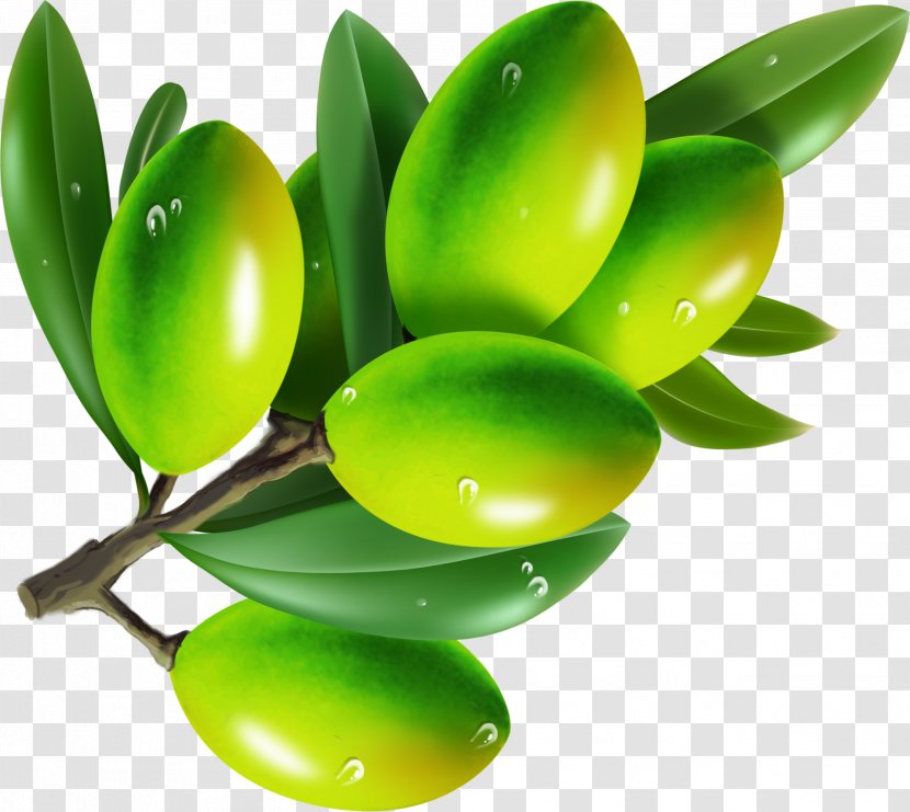 Olive Clip Art - Food - Olives Transparent PNG
