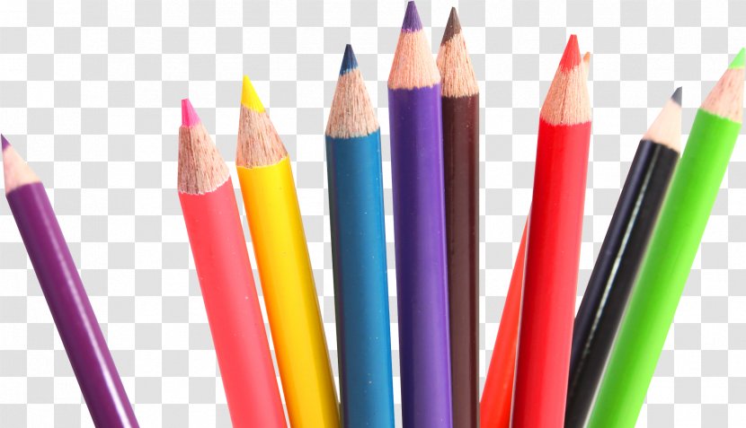 Pencil Cartoon - Crayola Crayons - Stationery Colorfulness Transparent PNG