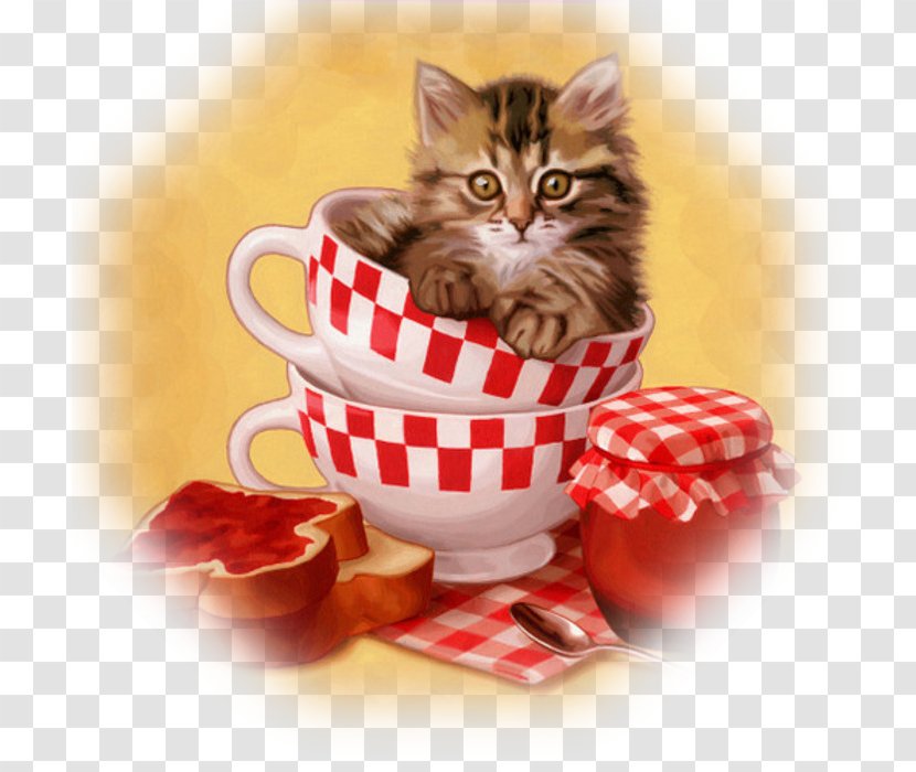 Cat Kitten Morning Greeting - Wish Transparent PNG