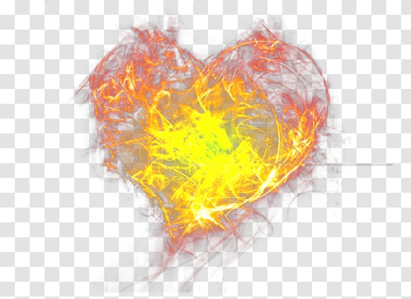 Fire Heart Wallpaper - Orange Transparent PNG