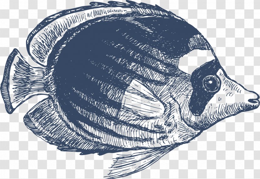 Drawing Fish Clip Art - Chaetodon Transparent PNG