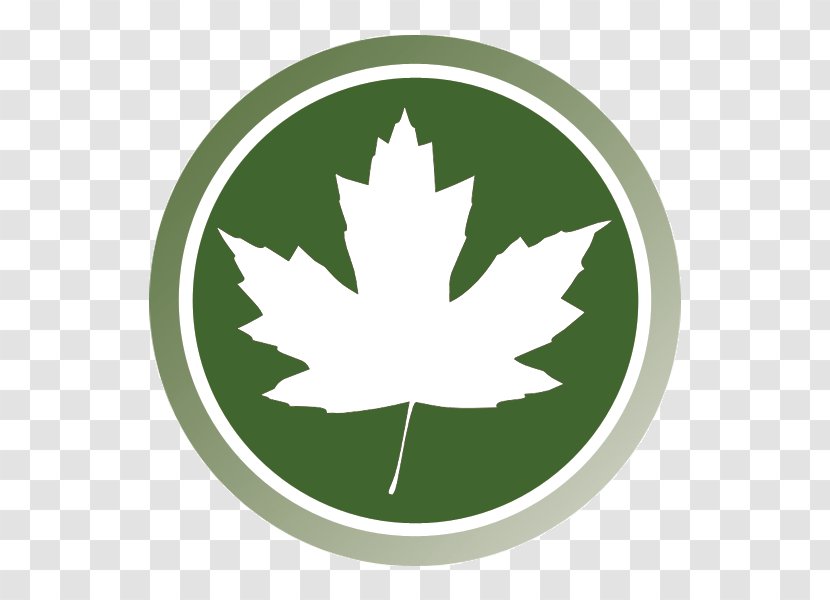 India Service Natural Environment Autumn Consultant - Leaf - Environmental Icon Transparent PNG