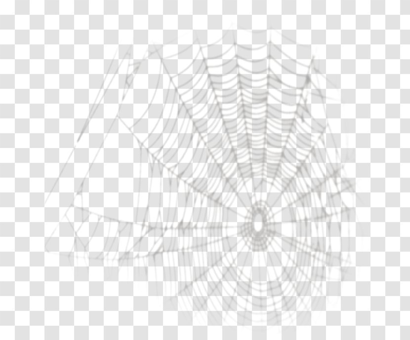 Spider Web Image Desktop Wallpaper - Randomness Transparent PNG