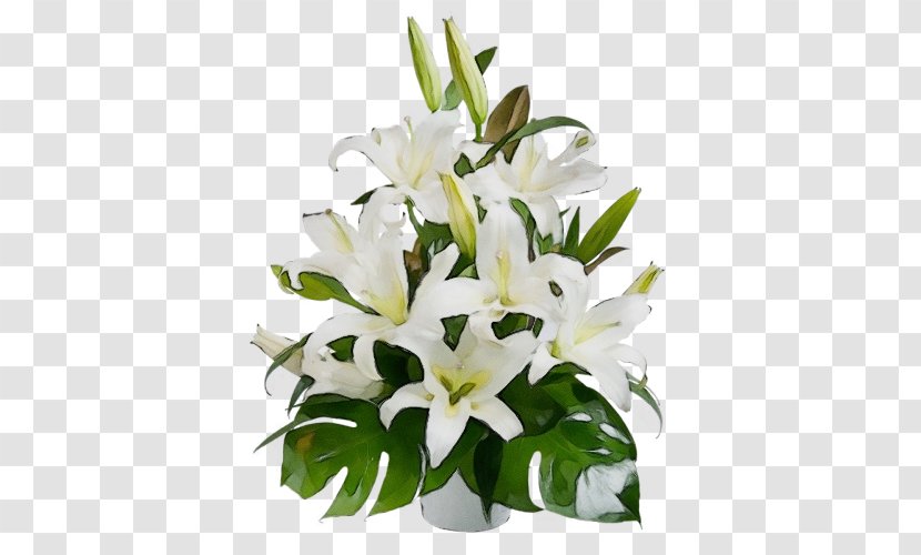 Flower Lily White Plant Bouquet - Stargazer Flowerpot Transparent PNG
