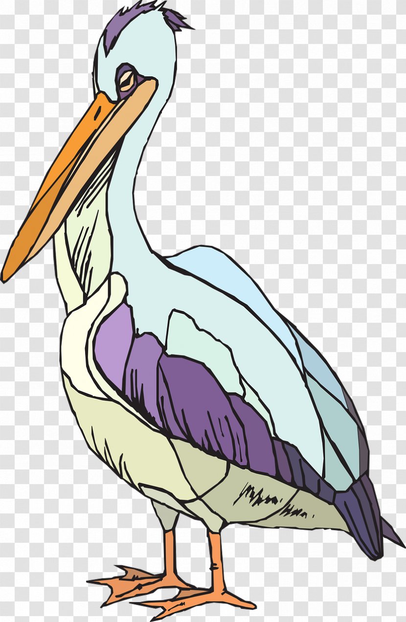 Drawing Clip Art - Pelican - Pelikan Ag Transparent PNG