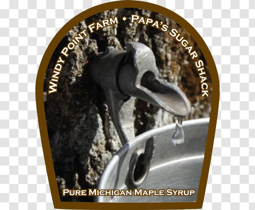 Sugar Maple Syrup Shack Pancake - Stock Photography - Tree Transparent PNG