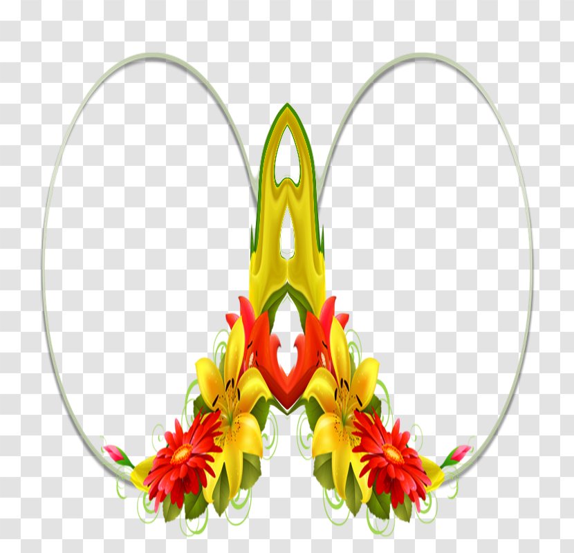 Petal Floral Design Flowering Plant - Dw Transparent PNG