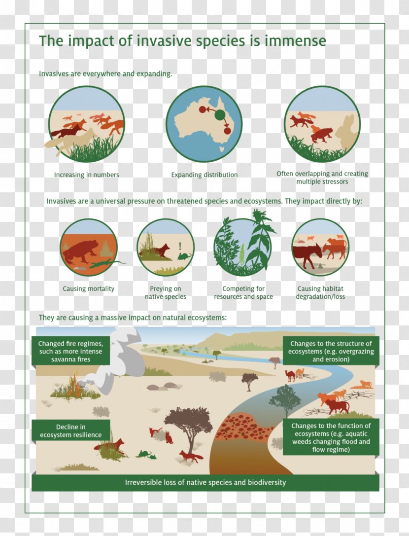 Biodiversity Ecosystem Invasive Species Pest Introduced - Natural Environment Transparent PNG