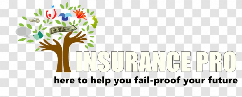 Health Insurance Life Chiropractic Carmona Marilyn I DC - Flower - Business Transparent PNG