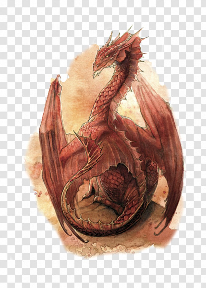Dungeons & Dragons Red Dragon Drawing Fantasy - Rooster Transparent PNG