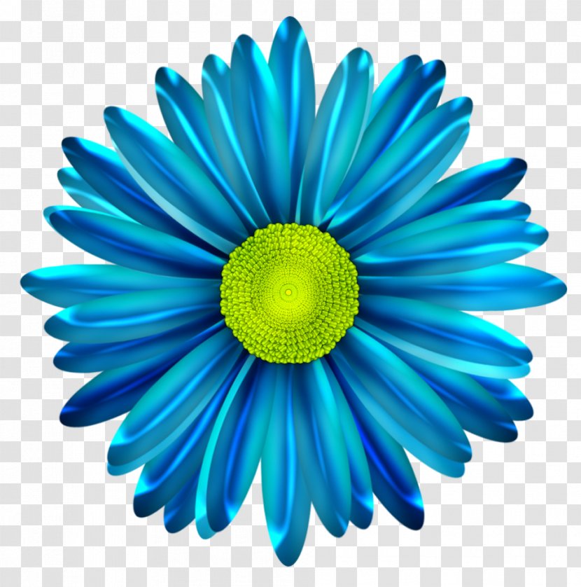 Common Daisy Blue Flower Clip Art - Royaltyfree Transparent PNG