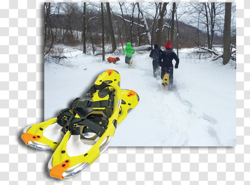 Ski Bindings Snowshoe Winter Sport Vehicle - Binding - Snow Transparent PNG