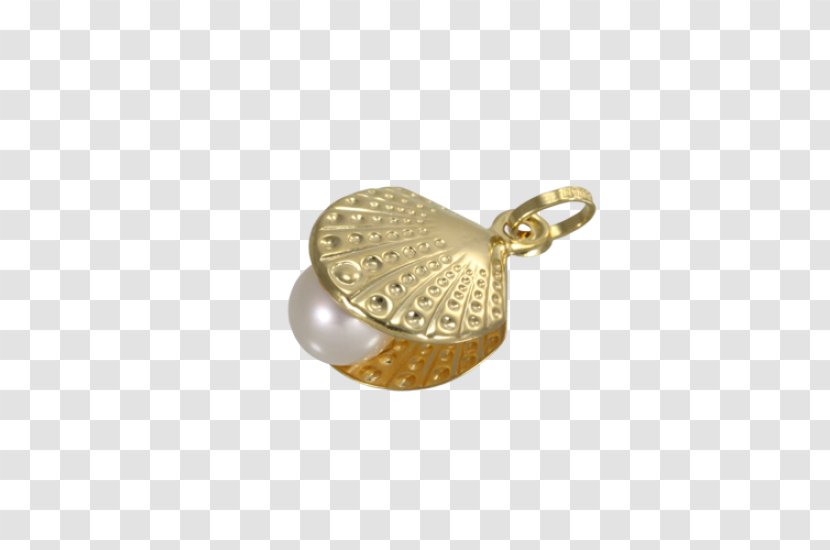 Locket Charm Bracelet Charms & Pendants Silver Transparent PNG