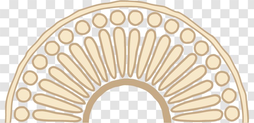 Angle Drawing Eyelash - Clutch Part - Hindu Arch Transparent PNG