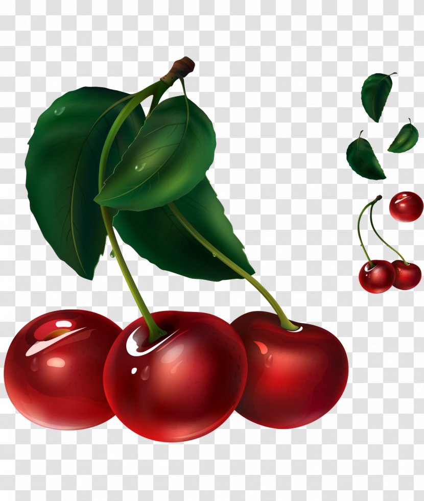 Juice Cherry Fruit Illustration - Painted Red Green Leaves Transparent PNG