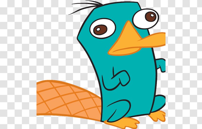 Perry The Platypus Phineas Flynn Dr. Heinz Doofenshmirtz Ferb Fletcher - Organism Transparent PNG