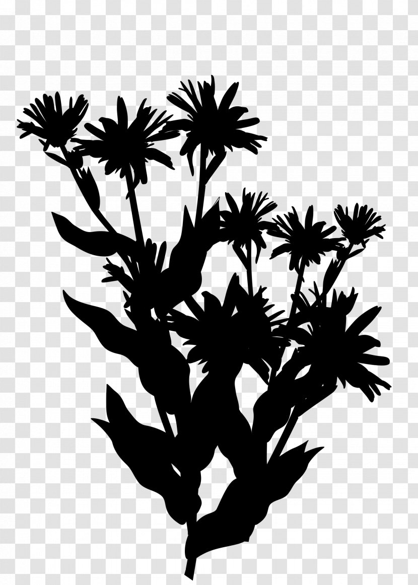 Twig Plant Stem Flower Leaf Clip Art - Botany Transparent PNG