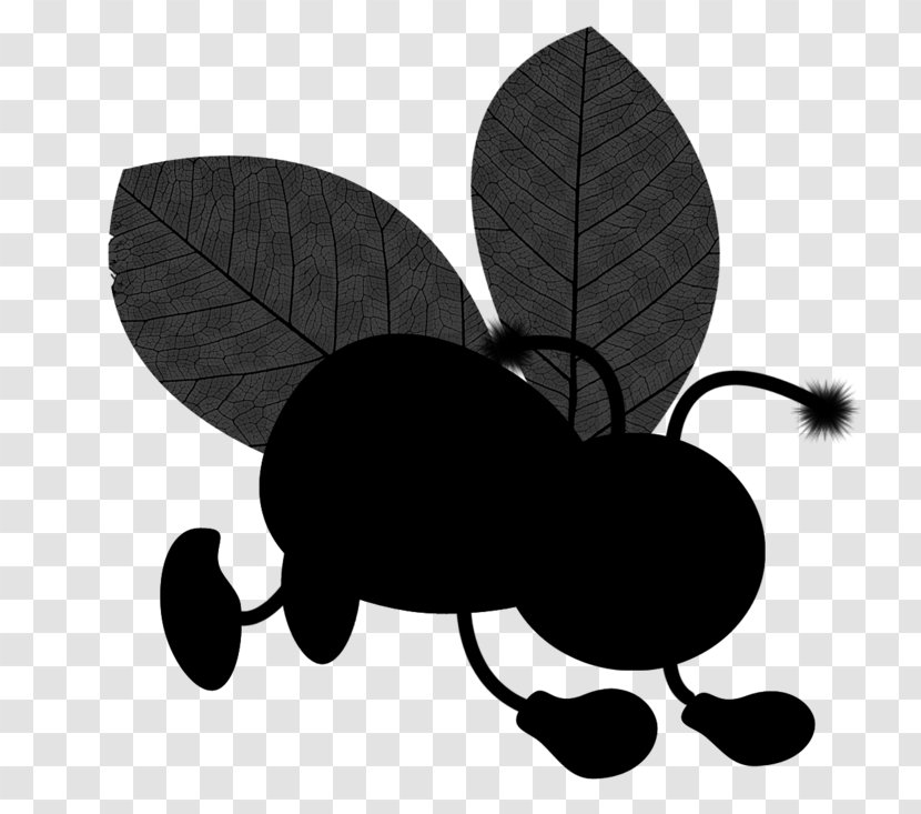 Black & White - Insect - M Clip Art Silhouette Transparent PNG