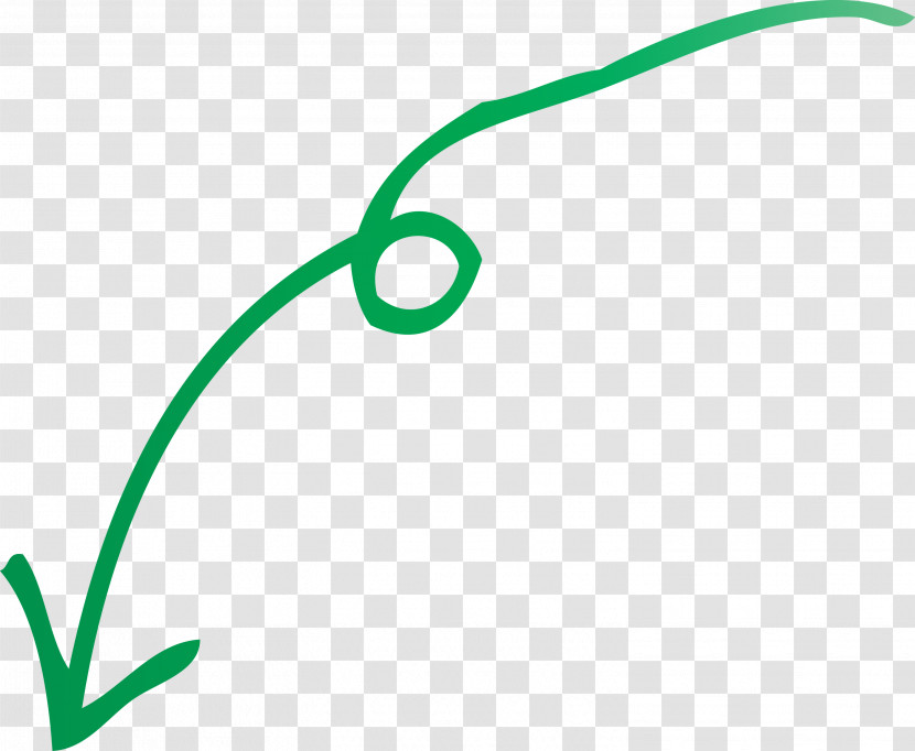 Curved Arrow Transparent PNG