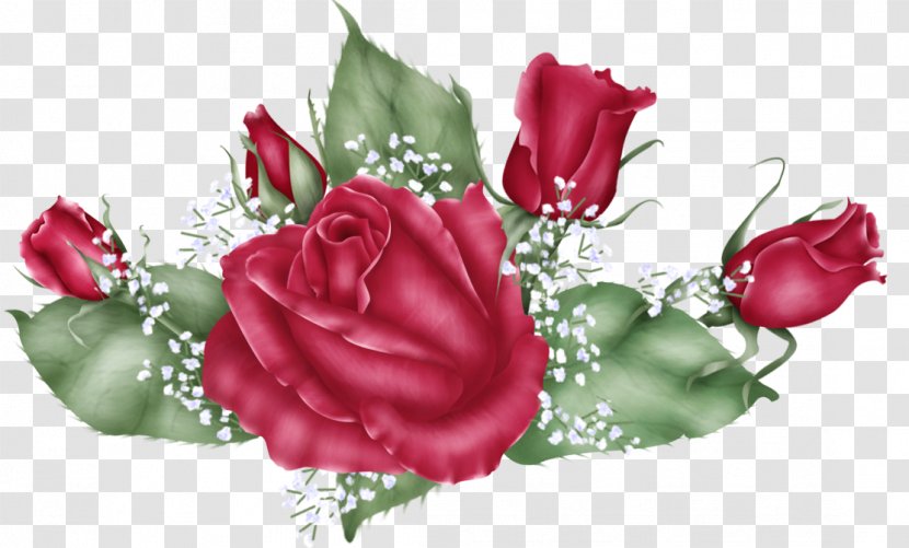 Cut Flowers Garden Roses Floral Design Centifolia - Baby Breath Transparent PNG
