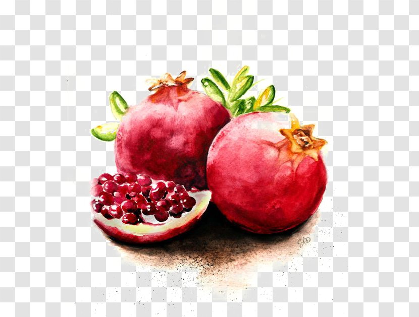 Pomegranate Juice Fruit Watercolor Painting - Slice Transparent PNG