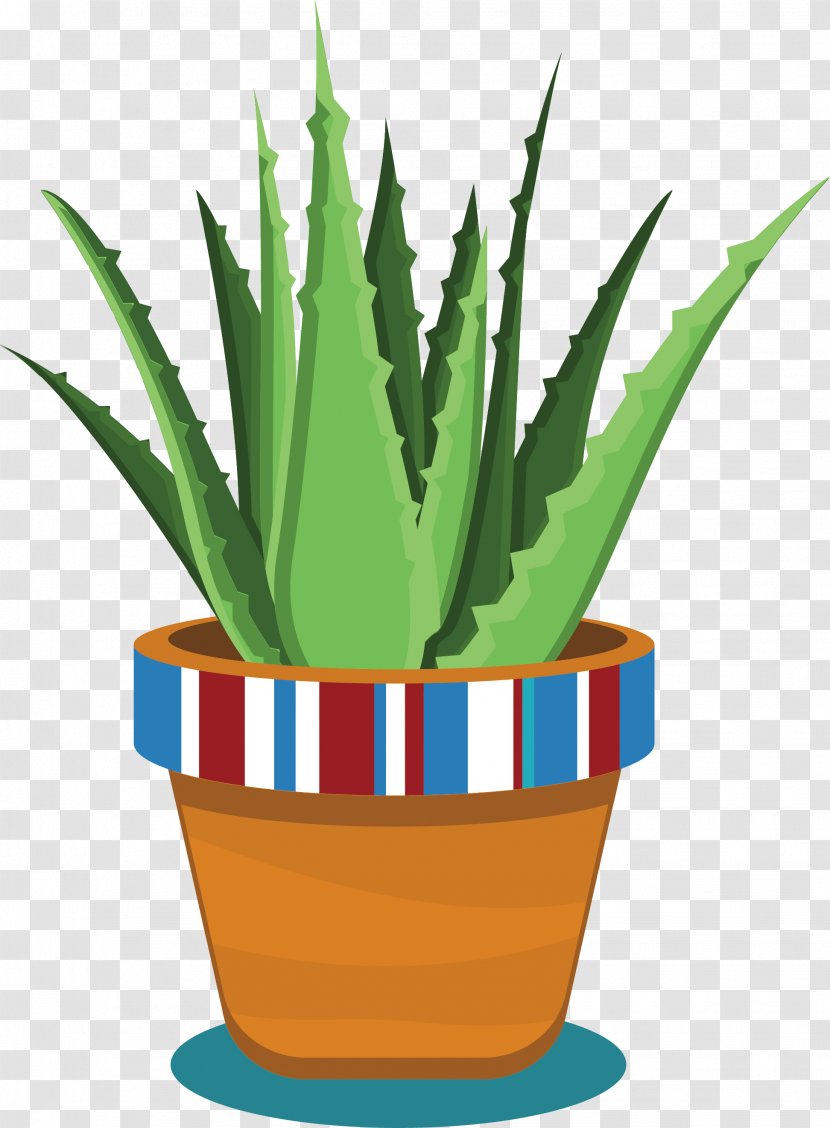 Aloe Vera Flowerpot Plant - A Pot Of Potted Transparent PNG