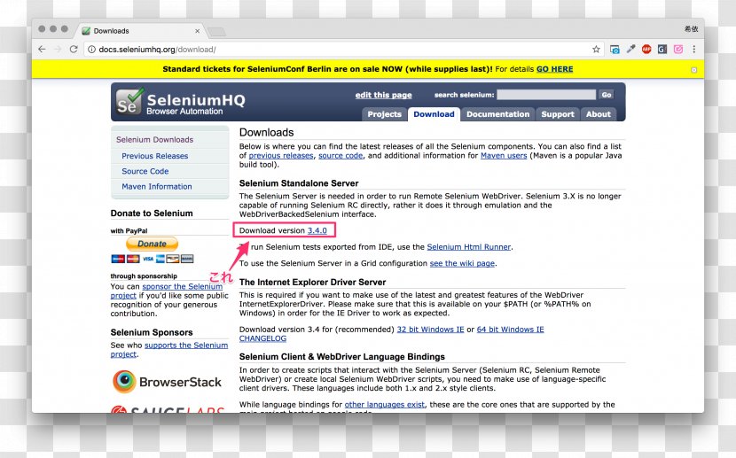 Selenium Software Testing Computer Test Automation Web Browser - Cucumber Transparent PNG