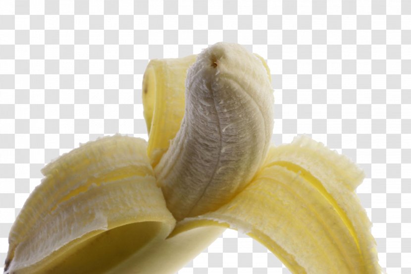 Banana Fruit Vegetable - Vecteur Transparent PNG