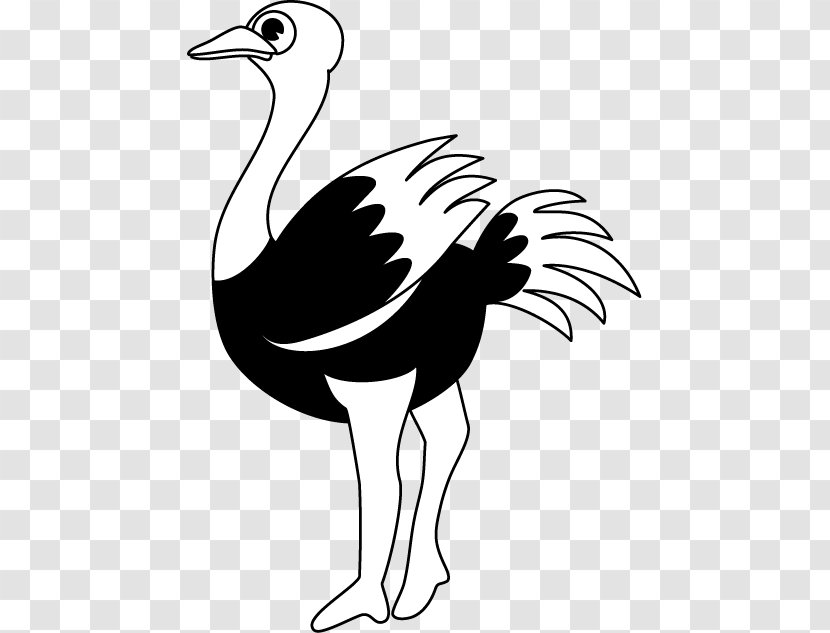 Common Ostrich Black And White Line Art Clip - Fauna - Silhouette Transparent PNG