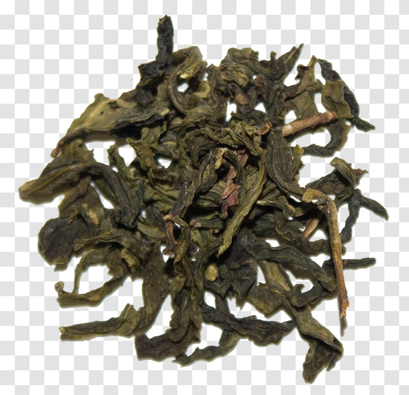 Dianhong Nilgiri Tea Golden Monkey Rooibos - Tieguanyin Transparent PNG