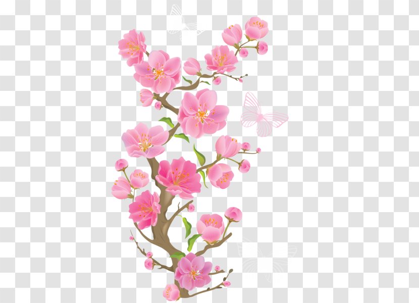 Cherry Blossom - Branch - Spring Cut Flowers Transparent PNG
