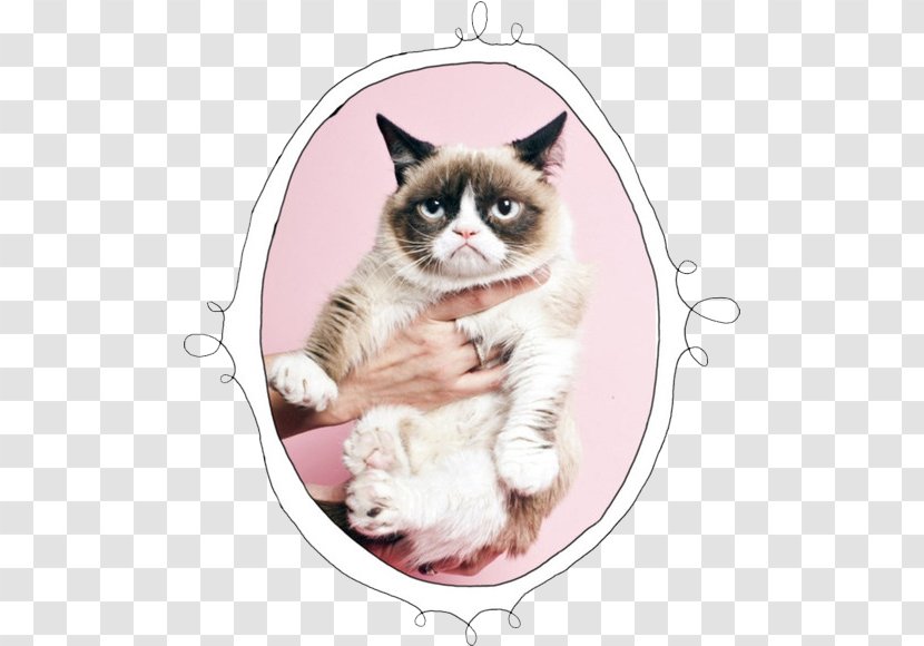 Grumpy Cat Kitten Food Cats And The Internet - Heart Transparent PNG