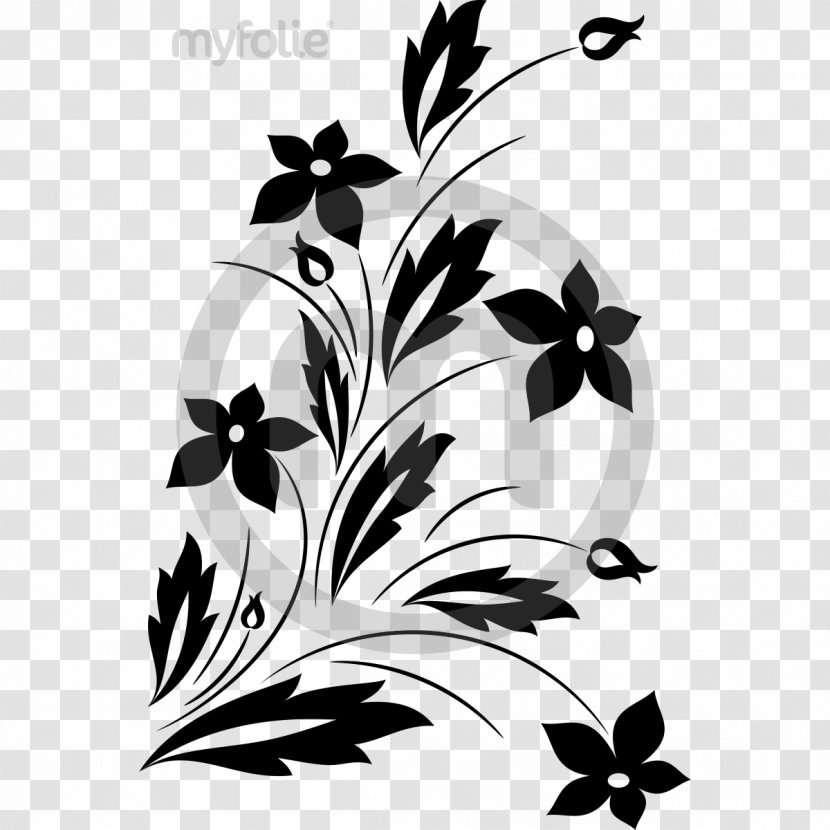 Floral Ornament CD-ROM And Book Design Clip Art Flower Vector Graphics - Monochrome Photography Transparent PNG