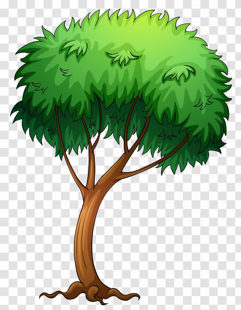 Tree Clip Art - Arecaceae - Tre Cliparts Transparent PNG
