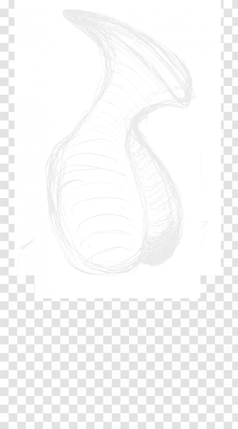 Drawing White Sketch - Monochrome - Line Transparent PNG
