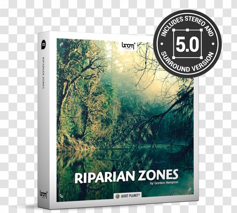 Sound Effect Thunder Special Effects Crickets At Night - Tree - Riparian Zone Transparent PNG