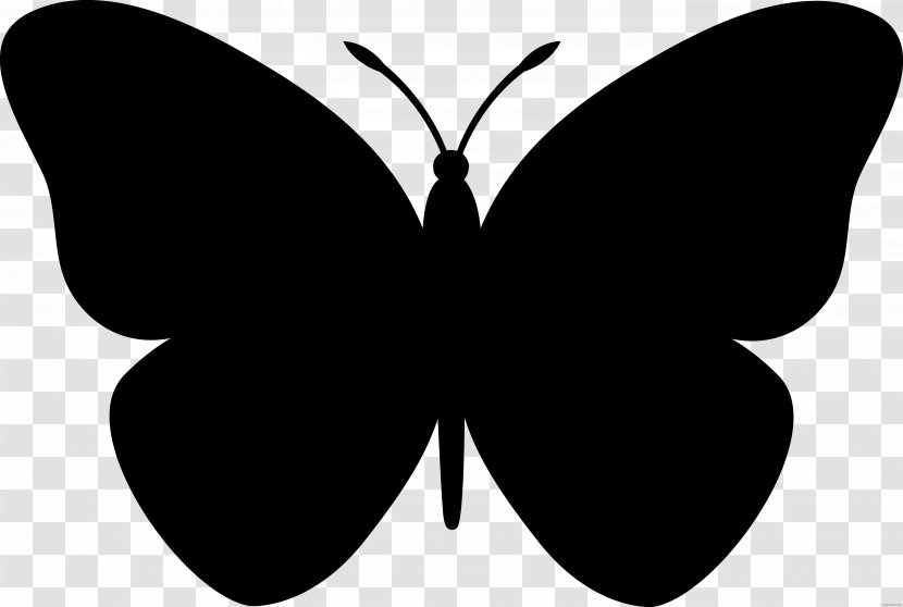 Butterfly Drawing Clip Art - Symmetry Transparent PNG
